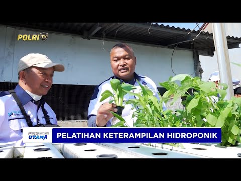 ANGGOTA DAN PNS POLRI ANTUSIAS IKUTI PELATIHAN AGRIBISNIS HIDROPONIK