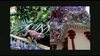Doris - king kong ft. Ploum (Official Video)