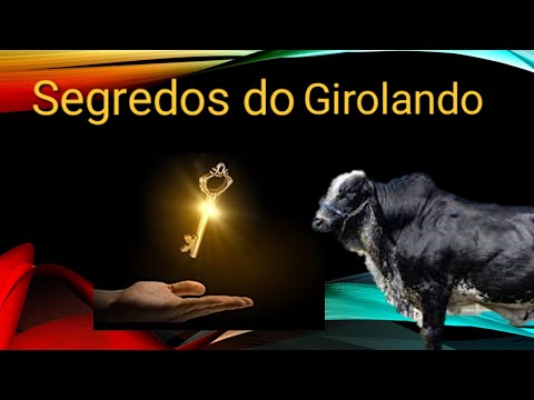 124- Inedito!! calculadora de touro Girolando! a primeira do mundo.