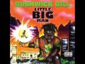 Bushwick Bill Letter From KKK Lyrics