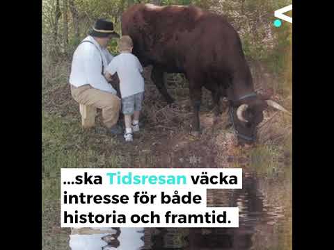 Västpunkt - Tidsresan med Nordens Ark