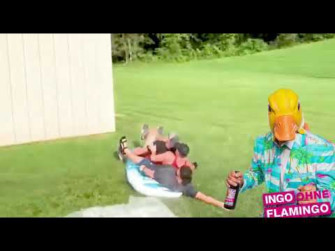 Woran hat es gelegen Short 3 -       Ingo ohne flamingo