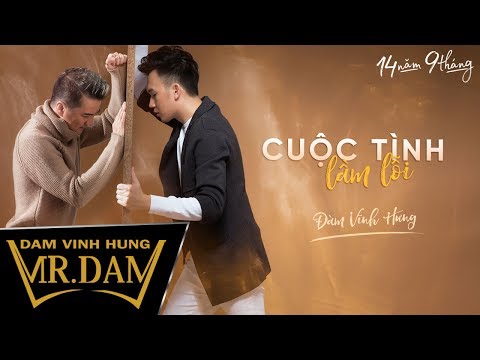 Cuộc tình lầm lỗi - Đàm Vĩnh Hưng