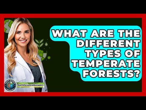What Are The Different Types Of Temperate Forests? - Earth Science Answers