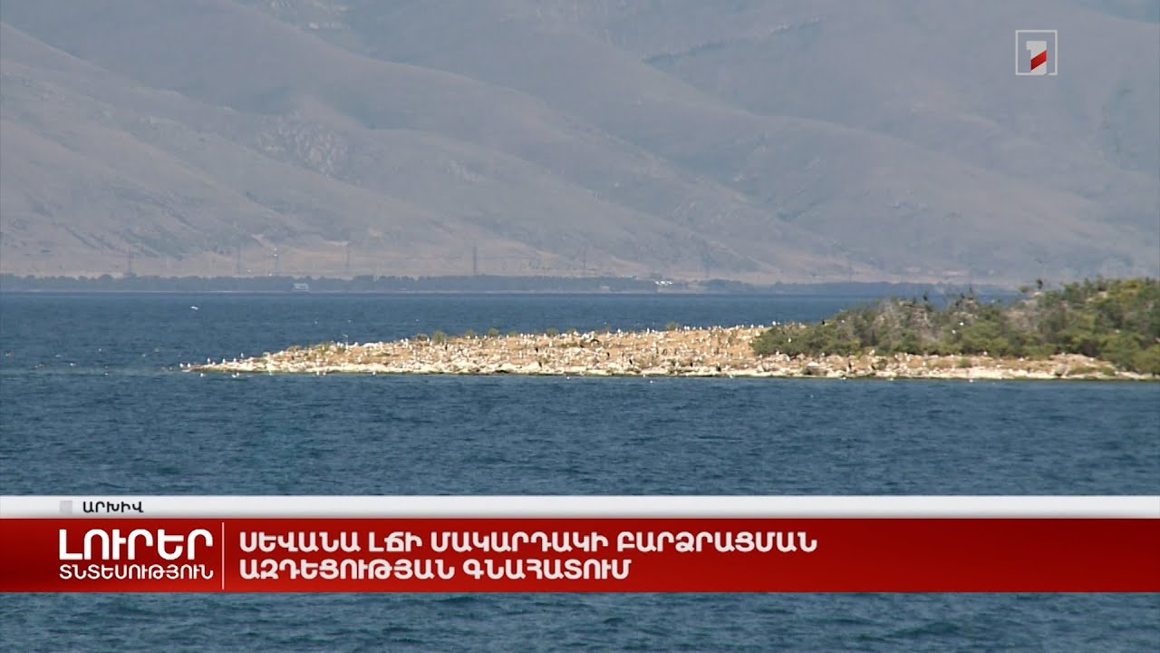 Սևանա լճի մակարդակի բարձրացման ազդեցության գնահատում