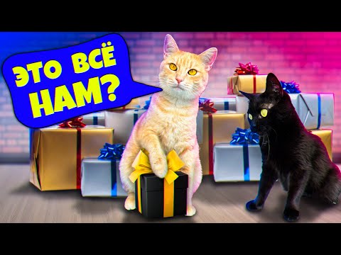 Мы приготовили подарки для наших домашних животных / SANI vlog