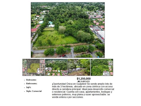 Imagen de Venta de Lotes y Terrenos en Guápiles - Pococí Guápiles - LIMÓN