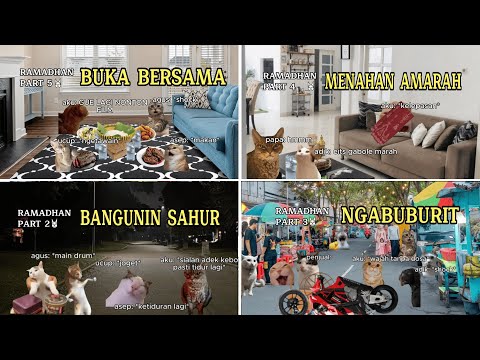 Kompilasi ramadhan & idul fitri meme kucing | Meme Kucing | #pov #meme #kucing #cat