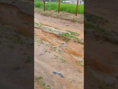 PAUINI NO LAMAÇAL: DESCASO DE RENATO AFONSO ATOLA O PROGRESSO E REVOLTA MORADORES