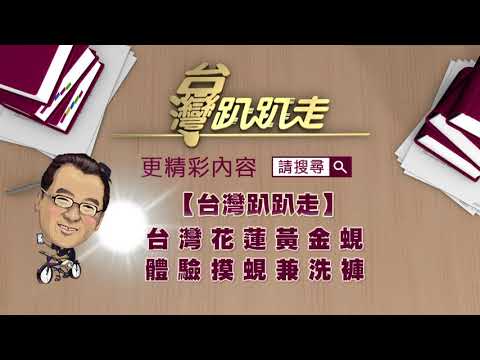  - 保護台灣大聯盟 - 政治文化新聞平台