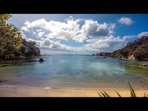 54 Korora Road, Oneroa, Waiheke Island, 4 chambres, 4 salles de bain, House