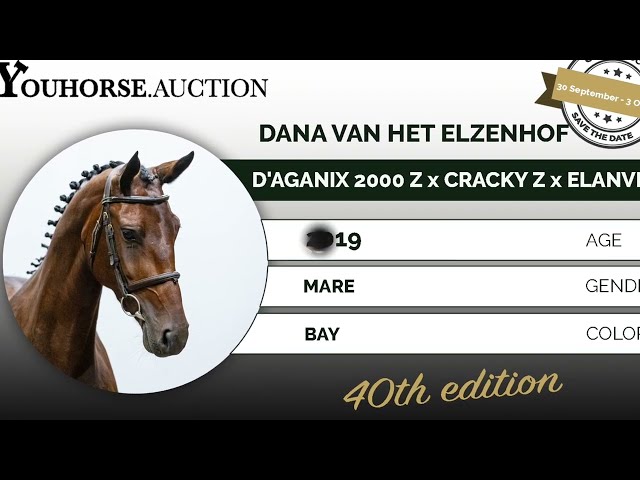 Dana van het Elzenhof Z