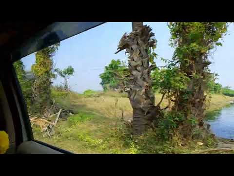 Antervedi Temple Near Main Road | Live Video