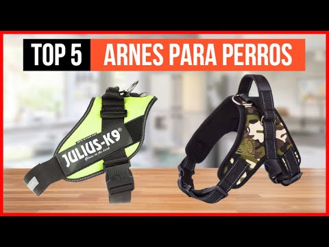 🐶LOS 5 MEJORES ARNESES PARA PERRO ANTITIRONES [JULIUS/EAGLOO] AMAZON 2021🐶