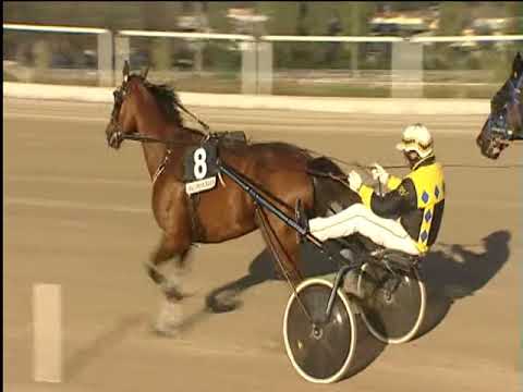 Trotto 15/03/2019 - 5ª corsa