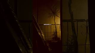 Download lagu No sé si te amé. Tal vez no, por que yo prometí adorarte por siempre, y te fallé :( mp3