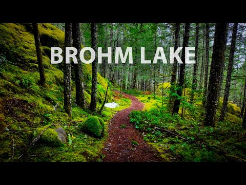 Peaceful Forest Walk to Brohm Lake & Tantalus Lookout: Squamish BC Canada