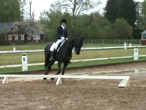 High Spirit, LA:3, Ringsjöorten