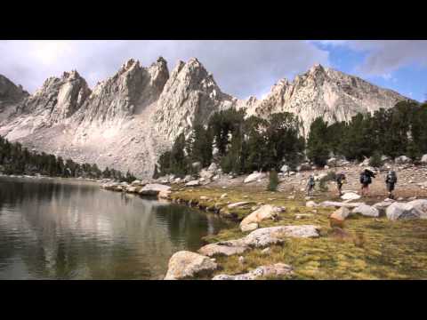 Golden Trout- Liquid Gold