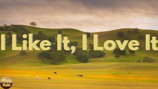 Tim McGraw - I Like It, I Love It (Lyrics)