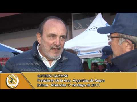 17-05-17 Nota a Alfredo Guzmán - 76º Exposición Angus Otoño - Bolivar