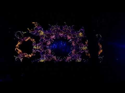 ZzBing - woodog recordings   | Samsara Festival 2018