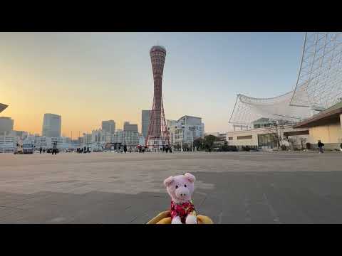 AIDA Weltreise 2025/26  VLOG 29  Kobe (Japan)