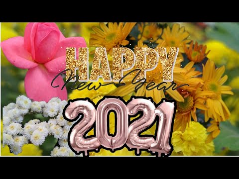 Beautiful flower 🌹♥️ Happy New year 2021