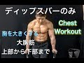 ディップスバーのみで大胸筋全体を鍛える[Chest Workout]