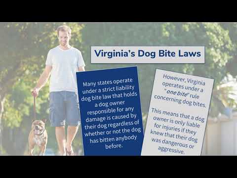 Virginia Dog Bite Injury Laws