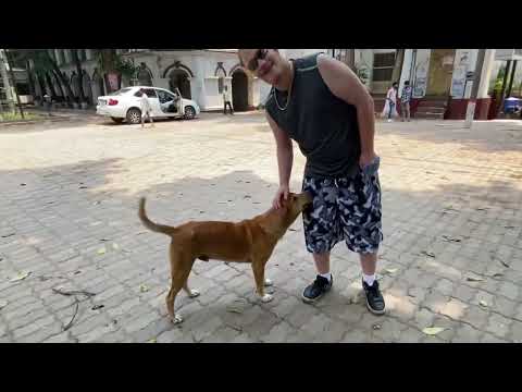 Ryan made a bestie 😌💞🫶🏼