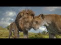 Mufasa The Lion King Family Reunion Hebrew Blu Ray