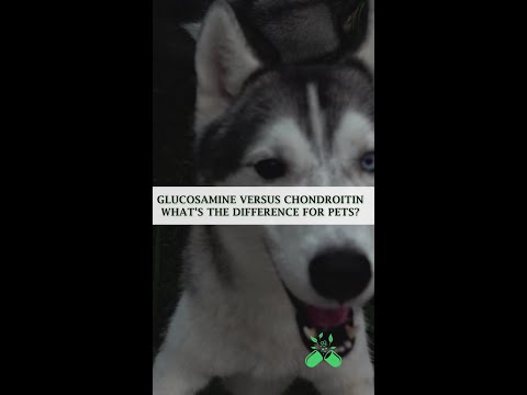 Glucosamine vs. Chondroitin 🦴🐾