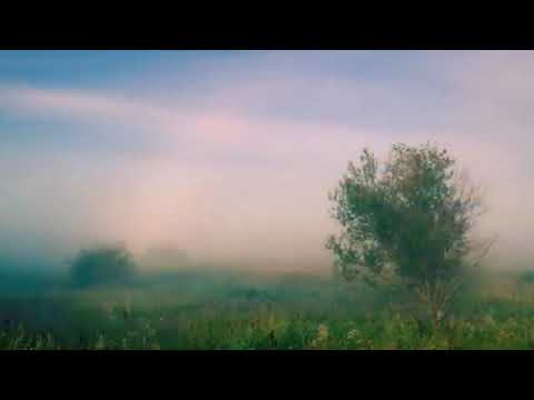 Mufti Menk", Rabbana atina fid-dunya hasanatan, ( Mufti Ismail Menk )  B.M.C.F.