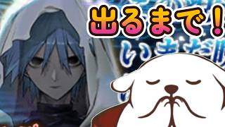 【FGO】経営顧問引くぞー！【カルデア放送局11周年SP】【ネタバレ注意】