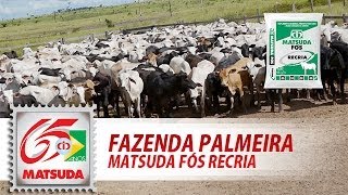 preview picture of video 'Matsuda Fós Recria (Fazenda Palmeira)'
