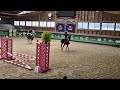 Super jument de 5 ans 