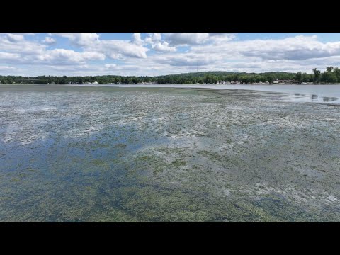 Chautauqua Lake homeowners battle excessive weeds amid new regulations