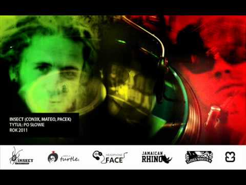 INSECT (Mateo,con3x,Pacek) - BigUp