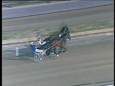 Trotto 12/08/2017 - 3ª prova di qualifica