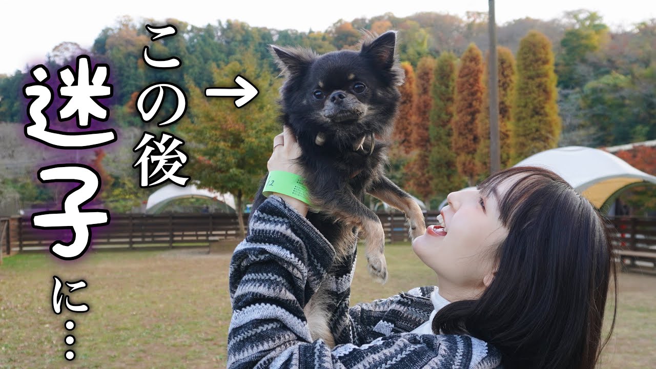 出産前に行きたかったところに行ってきました！【ドッグラン】