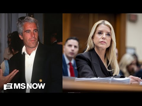 'Extremely politicized': Tim Miller on GOP handling of Epstein files