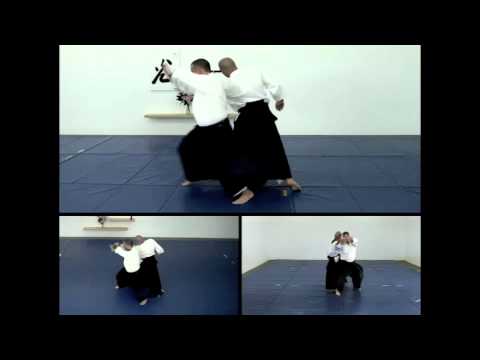 Aikido Intermediate 1 Video