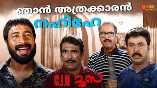 Download lagu C.I.D. Moosa - എന്നെ ഇങ്ങനെ കണ്ടാൽ മനസിലാകില്ലേ | Dileep | Bhavana | Surya TV mp3