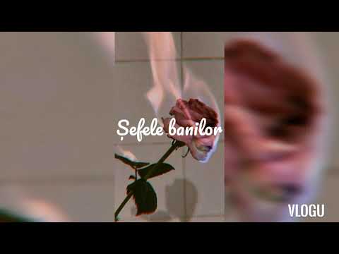 Emy Alupei feat Minodora Șefa banilor 💰 (video lyrics)