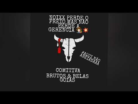 COMITIVA BRUTOS & BELAS GOIÁS 💥