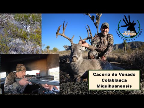 Miquihuana White-tailed Deer Hunt in Coahuila for Big Trophies on November 29