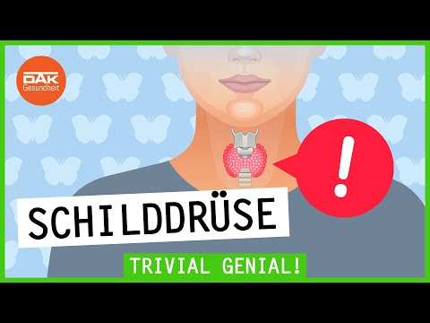 Die Schilddrüse und ihre Funktionen | Trivial Genial | DAK-Gesundheit