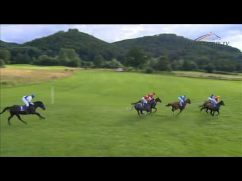 Bad Harzburger Seekönig 2017