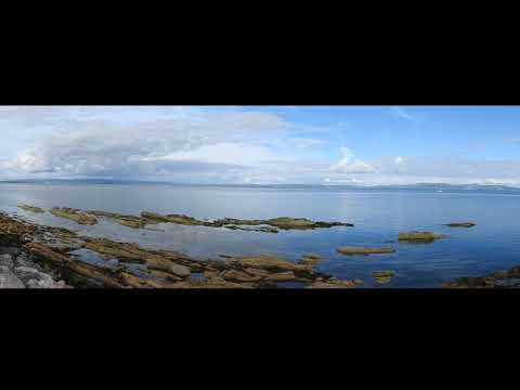 Swedish Folk Song (arr. V.Bobri): uke/braguinha duo